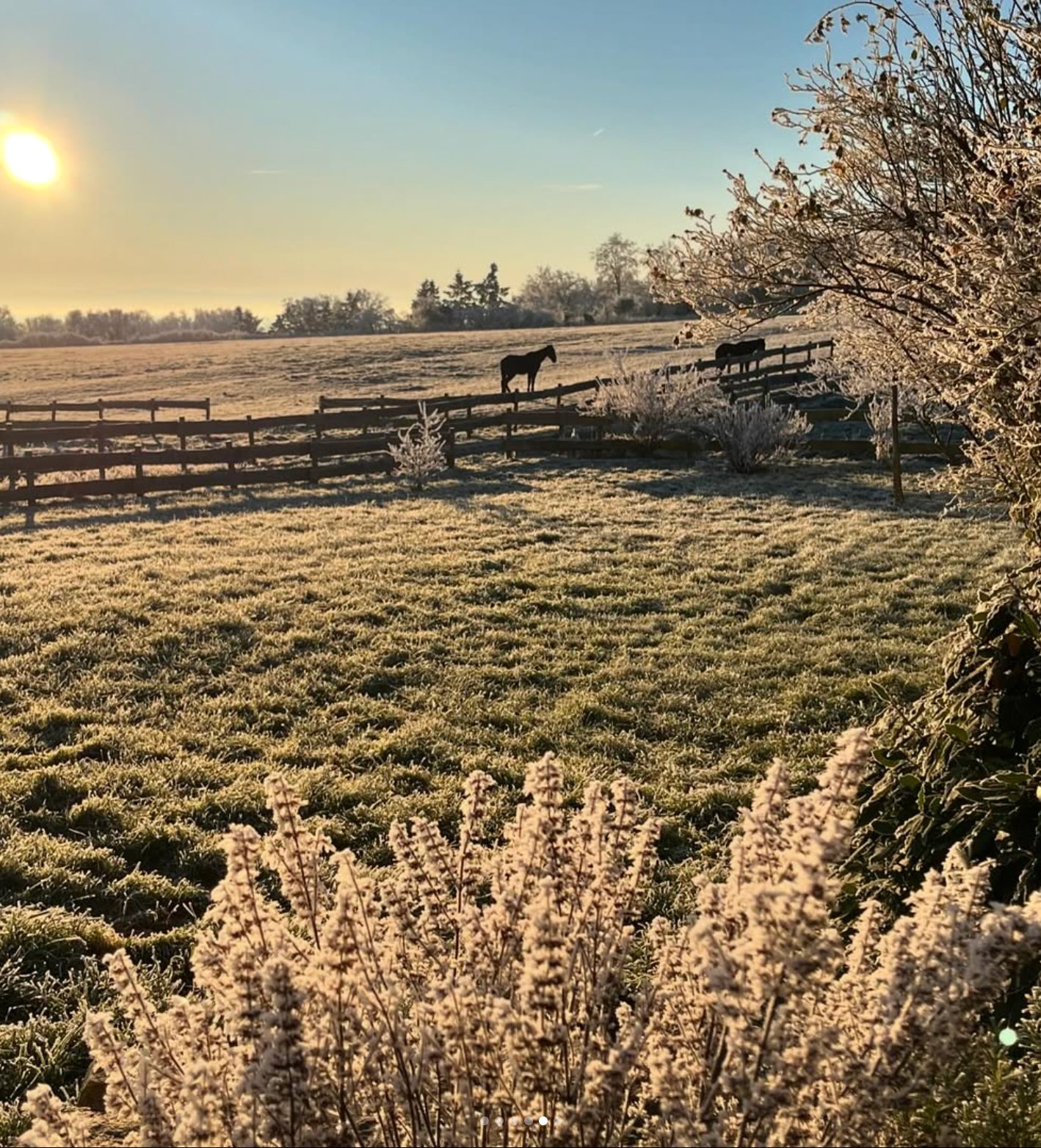 Lever de soleil avec cheval