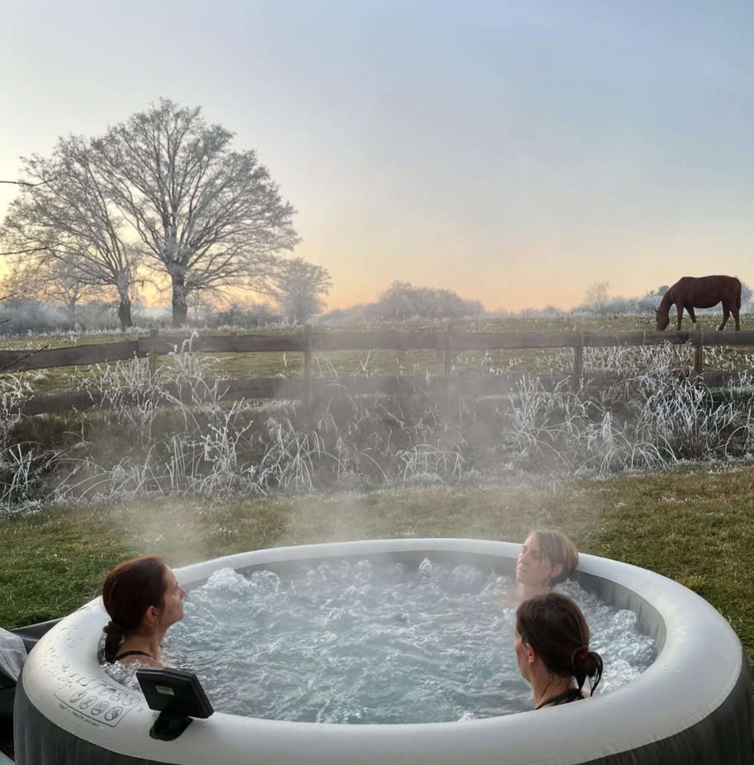 Jacuzzi avec vue sur nature et chevaux